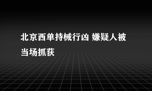 北京西单持械行凶 嫌疑人被当场抓获