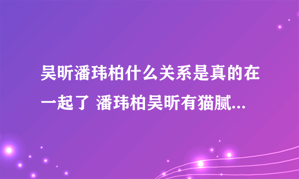 吴昕潘玮柏什么关系是真的在一起了 潘玮柏吴昕有猫腻私下无交流