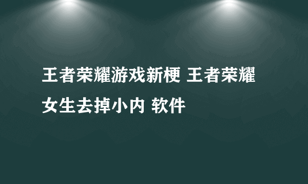 王者荣耀游戏新梗 王者荣耀女生去掉小内 软件