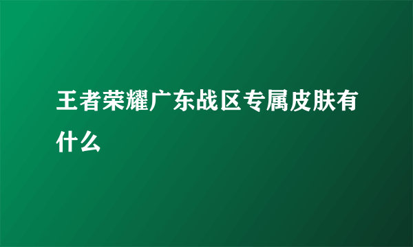 王者荣耀广东战区专属皮肤有什么