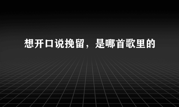 想开口说挽留，是哪首歌里的