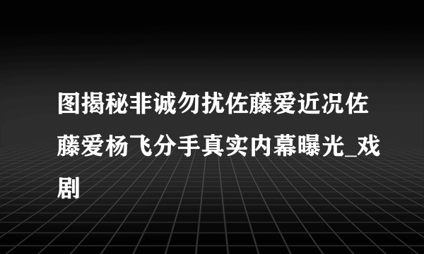 图揭秘非诚勿扰佐藤爱近况佐藤爱杨飞分手真实内幕曝光_戏剧