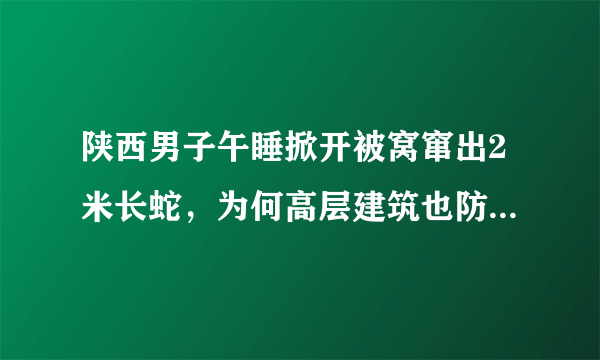 陕西男子午睡掀开被窝窜出2米长蛇，为何高层建筑也防不住蛇了？