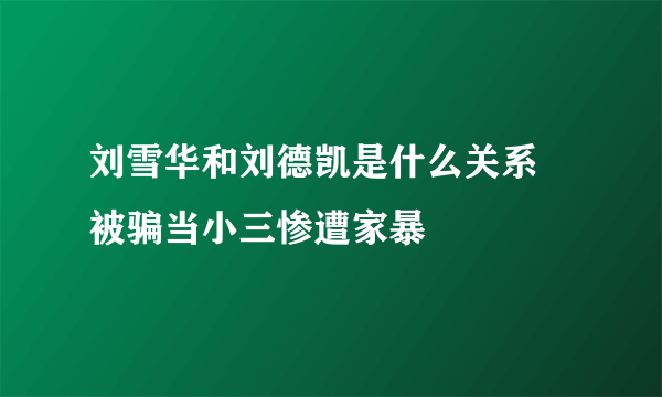 刘雪华和刘德凯是什么关系 被骗当小三惨遭家暴