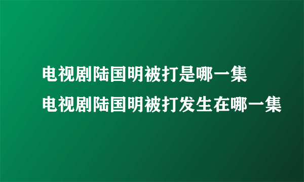 电视剧陆国明被打是哪一集 电视剧陆国明被打发生在哪一集