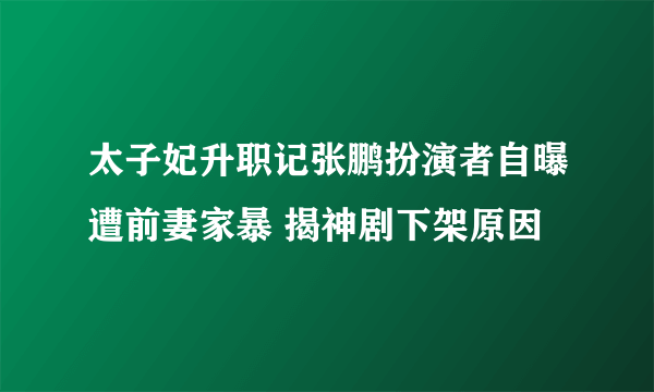 太子妃升职记张鹏扮演者自曝遭前妻家暴 揭神剧下架原因