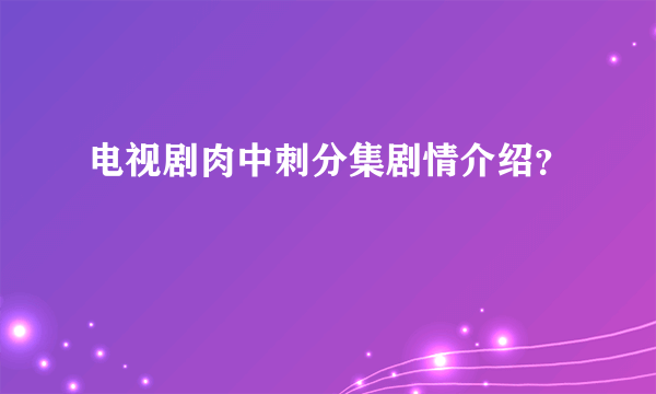 电视剧肉中刺分集剧情介绍？