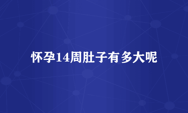 怀孕14周肚子有多大呢