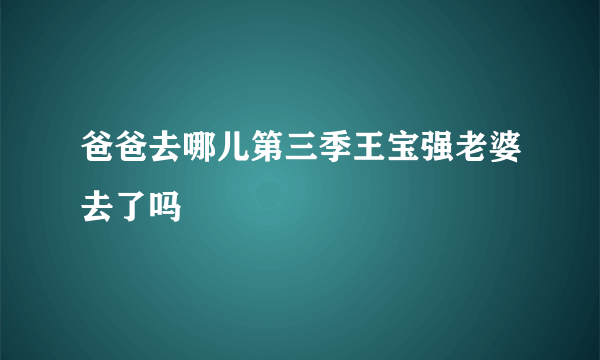 爸爸去哪儿第三季王宝强老婆去了吗