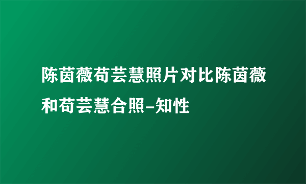 陈茵薇苟芸慧照片对比陈茵薇和苟芸慧合照-知性