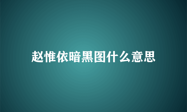 赵惟依暗黑图什么意思