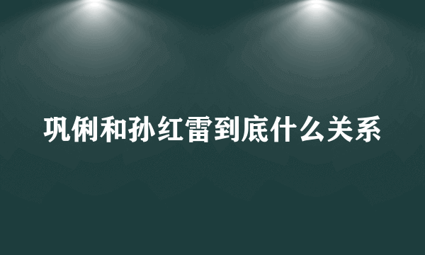 巩俐和孙红雷到底什么关系