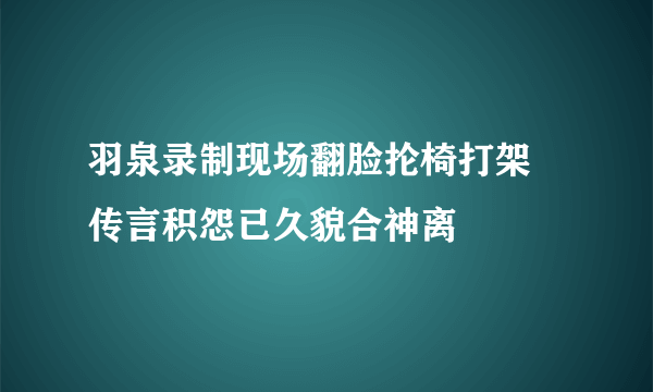 羽泉录制现场翻脸抡椅打架 传言积怨已久貌合神离