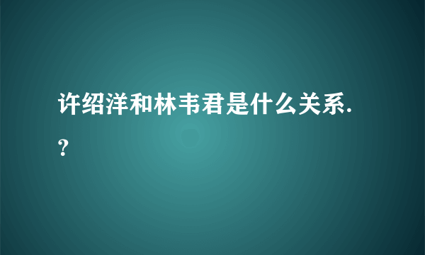 许绍洋和林韦君是什么关系.？