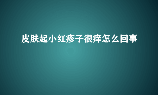 皮肤起小红疹子很痒怎么回事