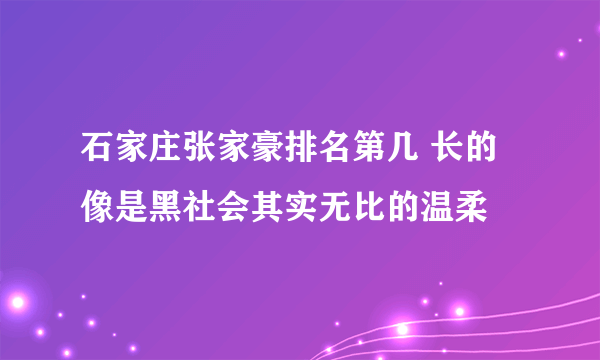 石家庄张家豪排名第几 长的像是黑社会其实无比的温柔