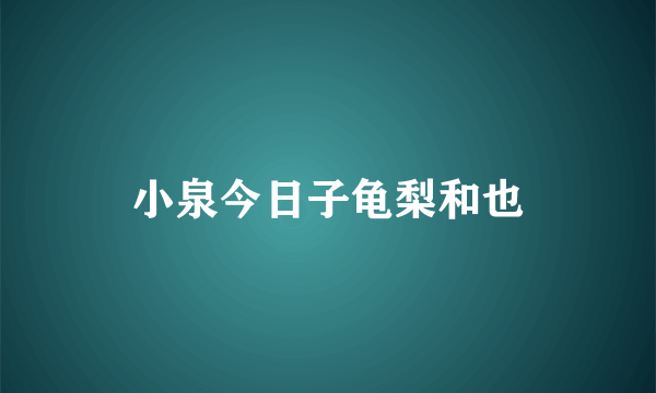 小泉今日子龟梨和也