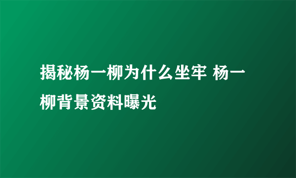 揭秘杨一柳为什么坐牢 杨一柳背景资料曝光