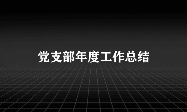 党支部年度工作总结