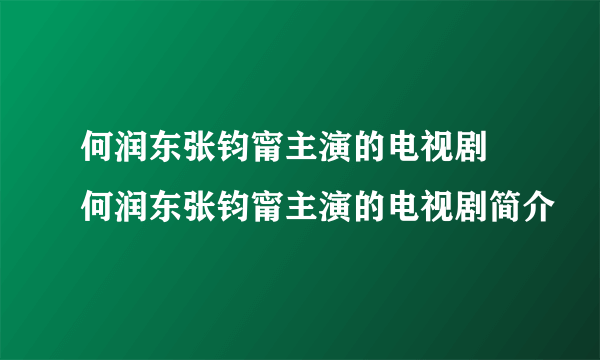 何润东张钧甯主演的电视剧  何润东张钧甯主演的电视剧简介