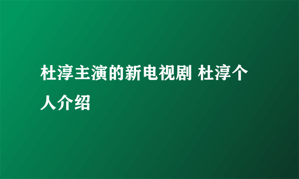 杜淳主演的新电视剧 杜淳个人介绍