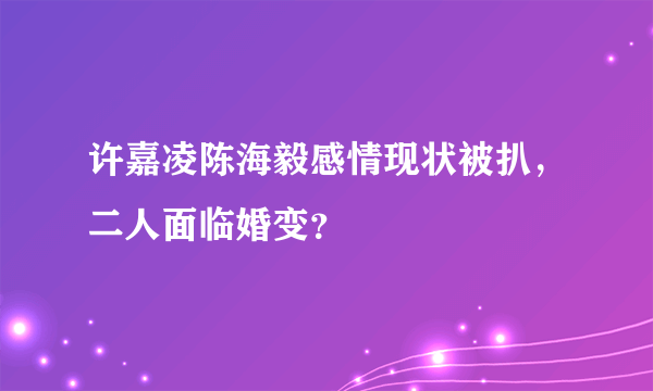 许嘉凌陈海毅感情现状被扒，二人面临婚变？