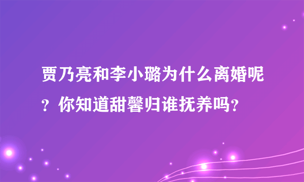 贾乃亮和李小璐为什么离婚呢？你知道甜馨归谁抚养吗？