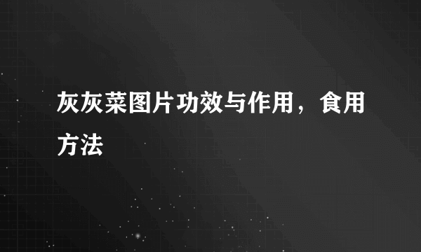 灰灰菜图片功效与作用，食用方法