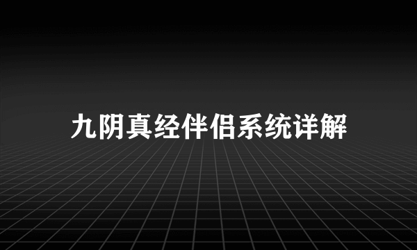 九阴真经伴侣系统详解