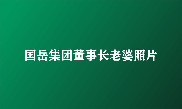 国岳集团董事长老婆照片