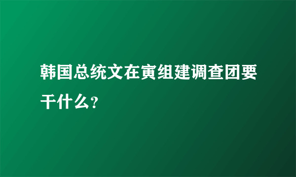 韩国总统文在寅组建调查团要干什么？