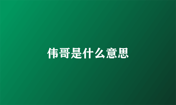 伟哥是什么意思