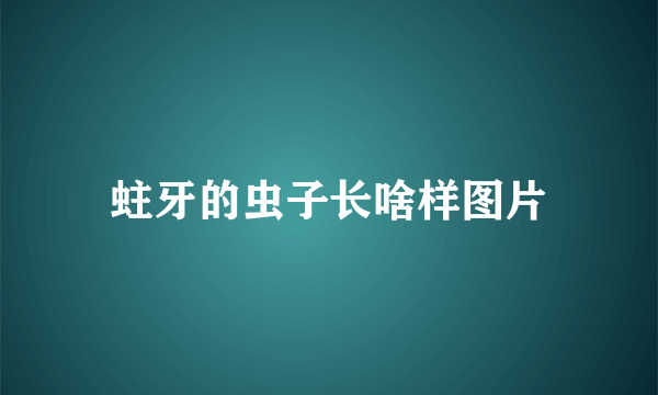 蛀牙的虫子长啥样图片