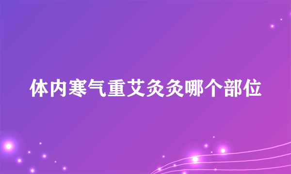 体内寒气重艾灸灸哪个部位