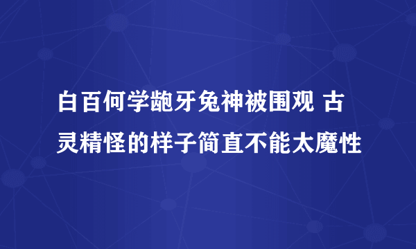 白百何学龅牙兔神被围观 古灵精怪的样子简直不能太魔性