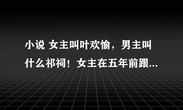 小说 女主叫叶欢愉，男主叫什么祁祠！女主在五年前跟男主契约生下一对双胞胎儿子，女主偷偷把一个留了下