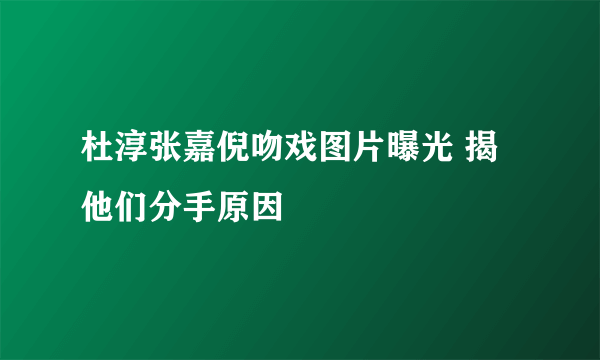 杜淳张嘉倪吻戏图片曝光 揭他们分手原因