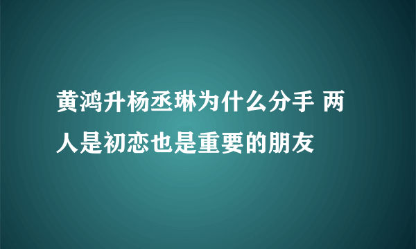 黄鸿升杨丞琳为什么分手 两人是初恋也是重要的朋友