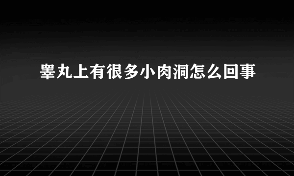 睾丸上有很多小肉洞怎么回事