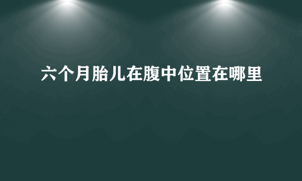 六个月胎儿在腹中位置在哪里