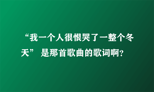 “我一个人很恨哭了一整个冬天” 是那首歌曲的歌词啊？