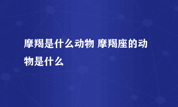 摩羯是什么动物 摩羯座的动物是什么