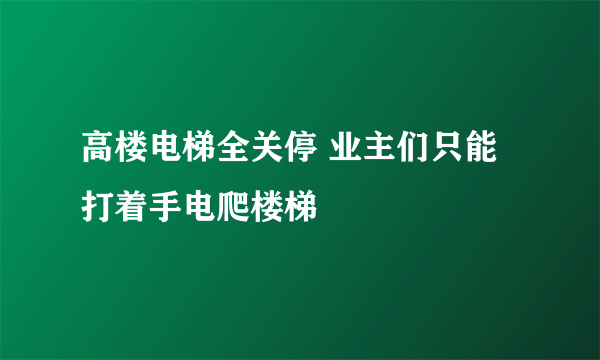 高楼电梯全关停 业主们只能打着手电爬楼梯