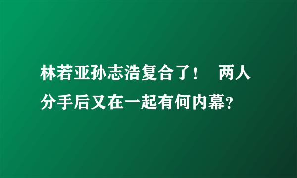 林若亚孙志浩复合了！  两人分手后又在一起有何内幕？