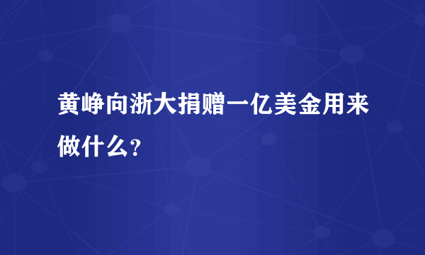 黄峥向浙大捐赠一亿美金用来做什么？