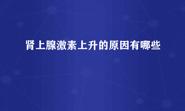 肾上腺激素上升的原因有哪些