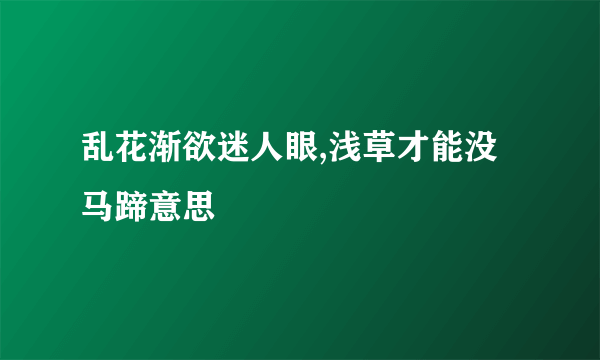 乱花渐欲迷人眼,浅草才能没马蹄意思