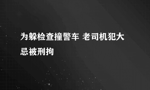 为躲检查撞警车 老司机犯大忌被刑拘