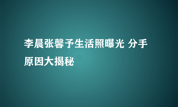 李晨张馨予生活照曝光 分手原因大揭秘