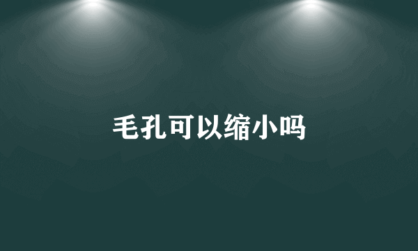 毛孔可以缩小吗